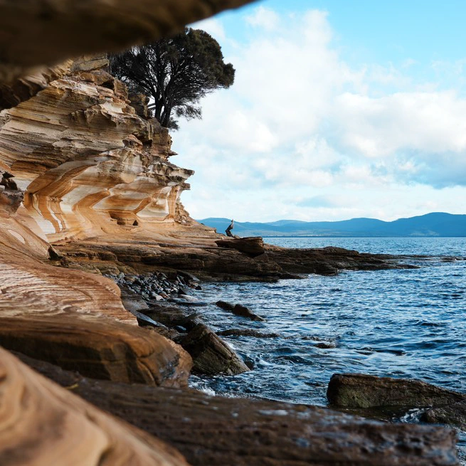 Tasmania: My Second Homeland