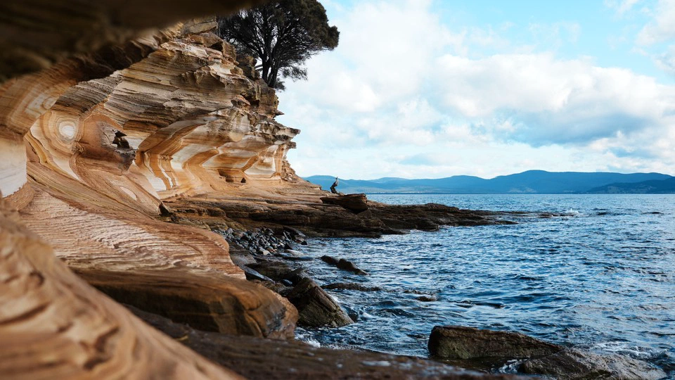 Tasmania: My Second Homeland