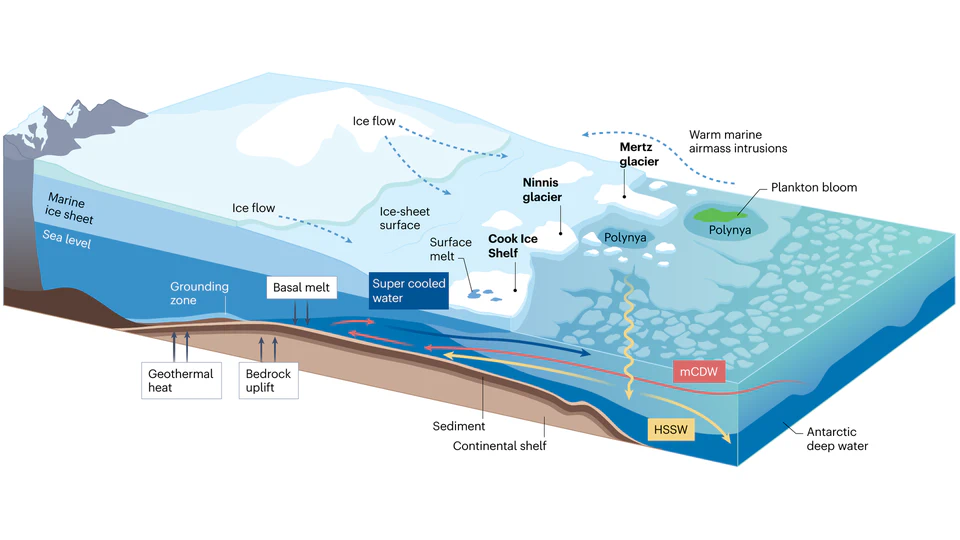 Dynamic instability of the Wilkes Subglacial Basin Ice Sheet, East Antarctica